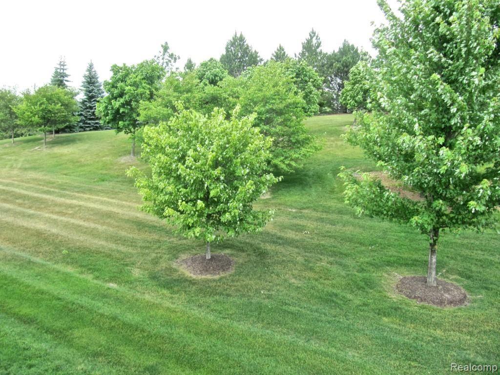 3723 Oakmonte Boulevard, Unit 4 Rochester, MI 48306 - Photo 5 of 25 Commons