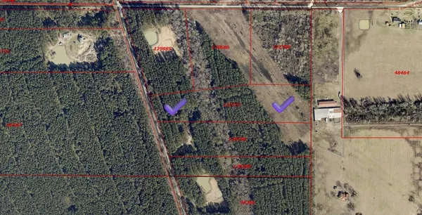 $450,000 | 401 Pelican Road, Shepherd, TX 77371