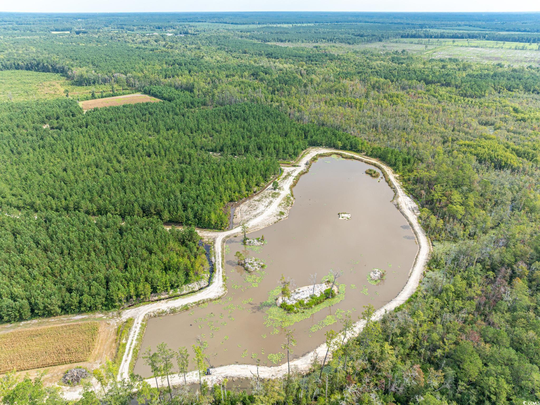 0 No Where Road Clarendon, NC 28432 - Photo 17 of 22 Aerial overview of property's location featuring a heavily wooded area and a nearby body of water