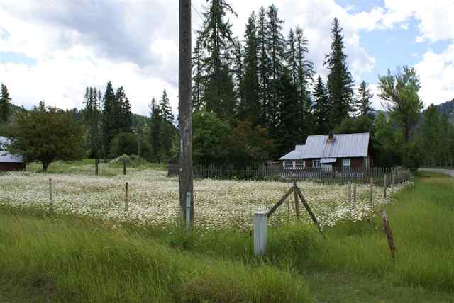 3292 Deep Lake Boundary Road Colville, WA 99114 - Photo 13 of 15 Gallery Image 13