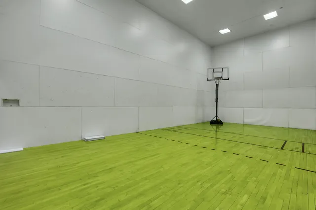 a bathroom with a potted plant on the counter and a sink