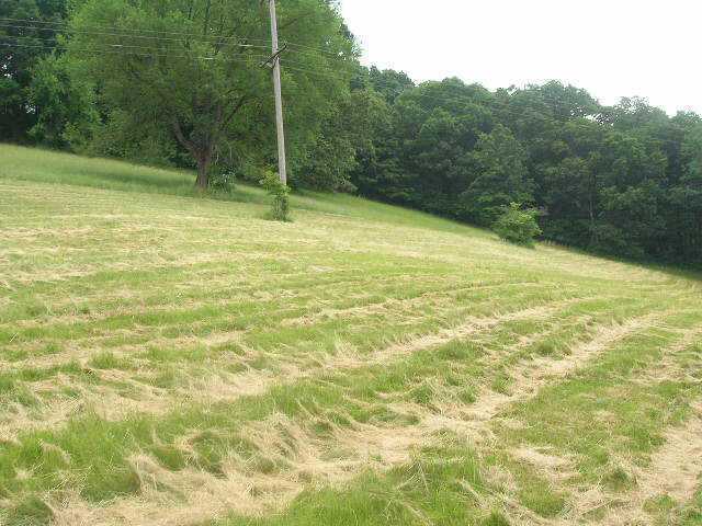 422 Cedar Run Road Northeast Newark, OH 43055 - Photo 4 of 5