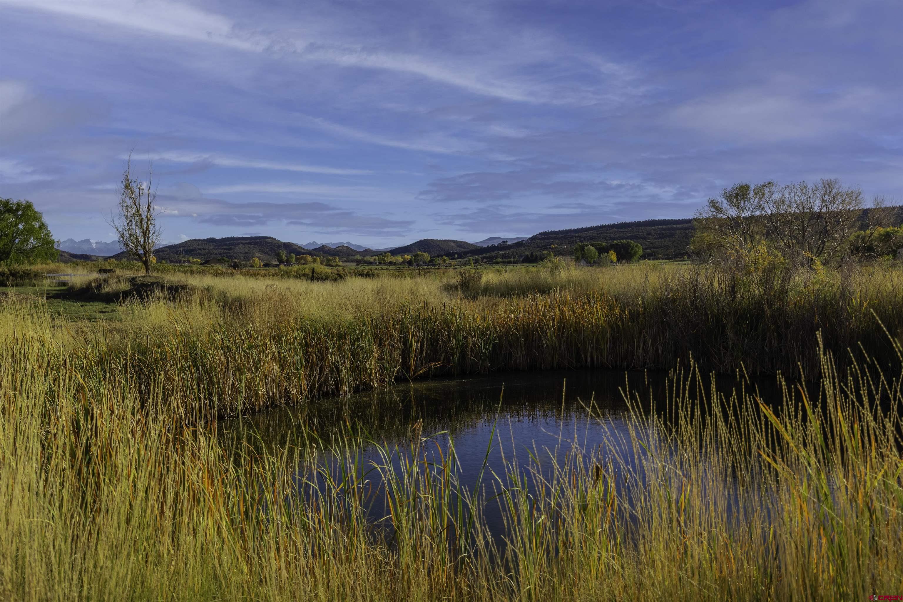 19555 6575th Road Montrose, CO 81403 - Photo 3 of 36 a view of lake