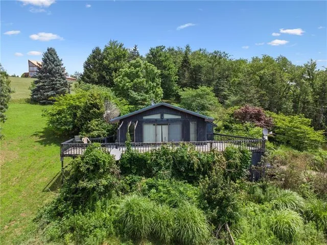 a view of a tree in a yard with a house in the background