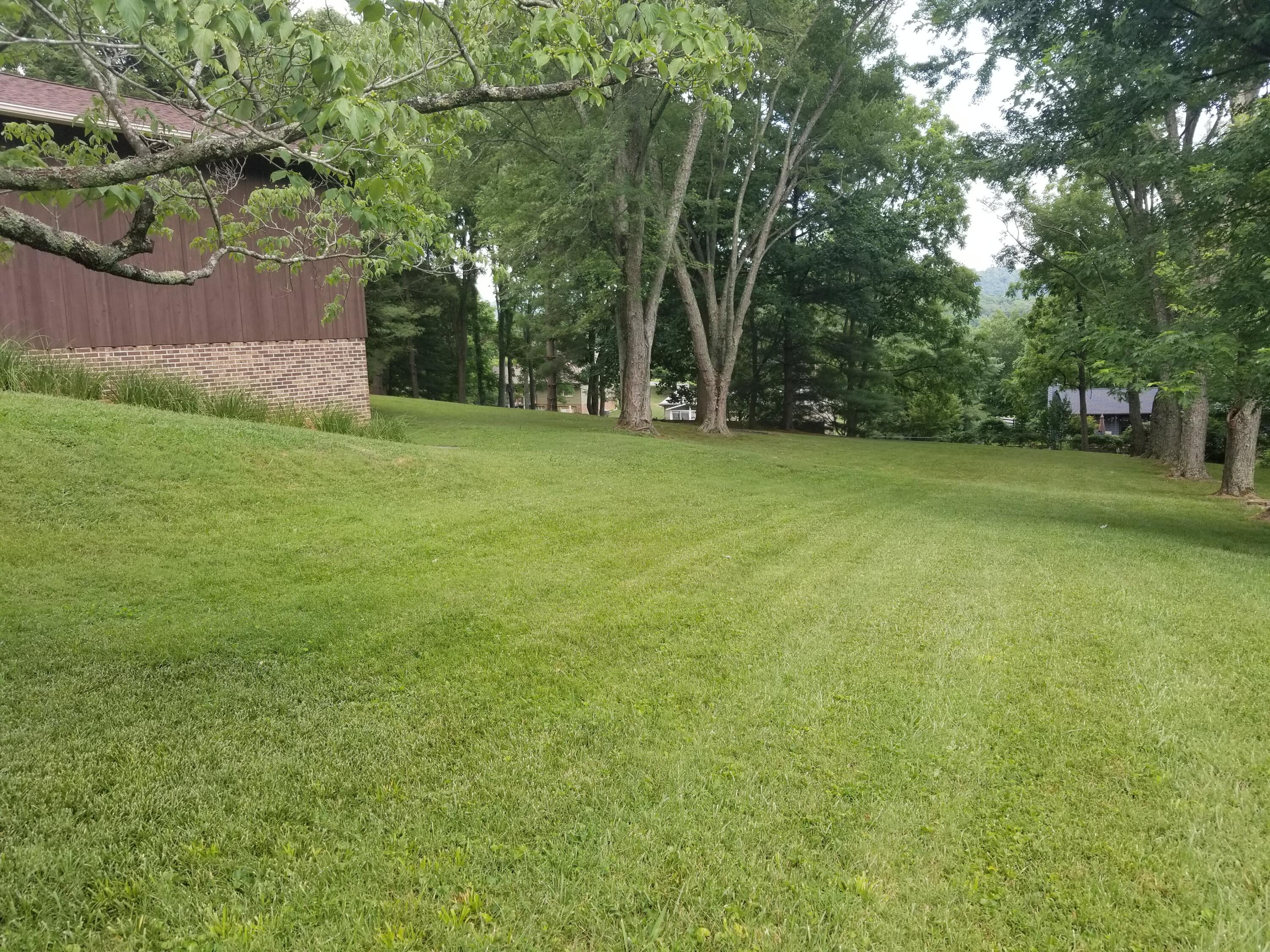 380 Emory Church Road Kingsport, TN 37664 - Photo 64 of 65 Beautiful Yard