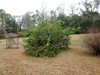 698 Tri County Road Graceville, FL 32440 - Photo 8 of 30