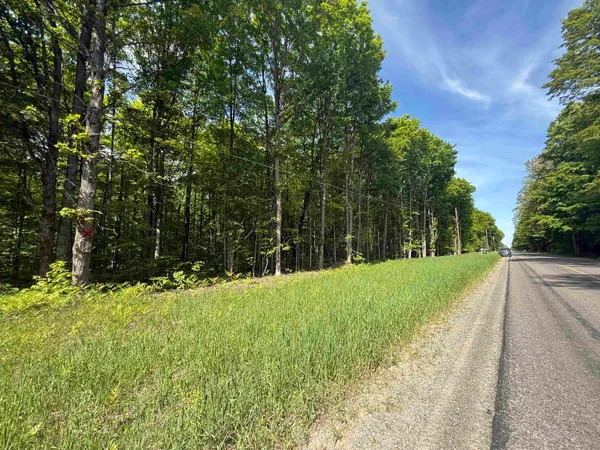 $95,000 | 0 Starvation Lake Road, Unit COORDINATES: 44 85202 8, Mancelona, MI 49569