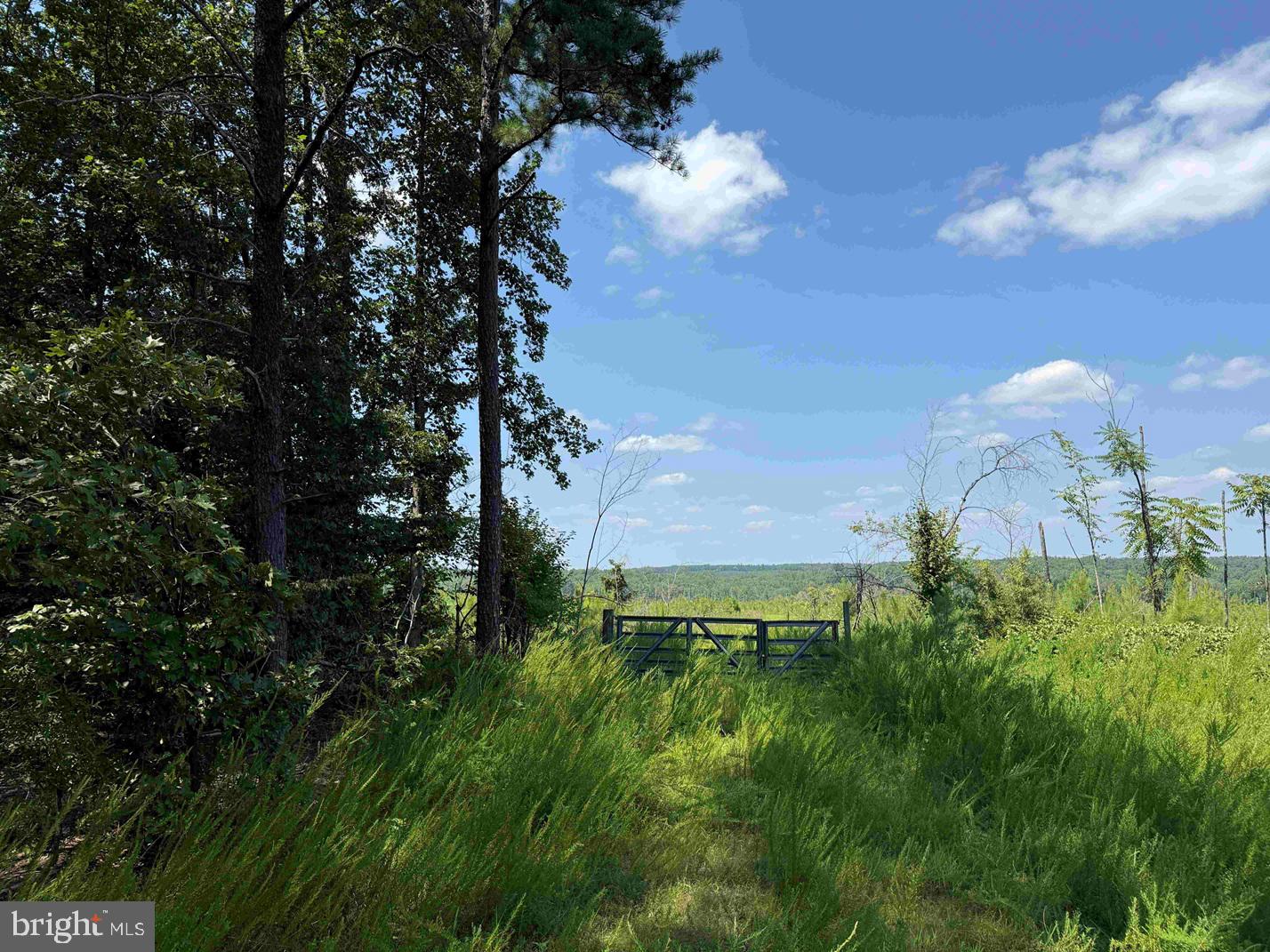 Bremo Road Bremo Bluff, VA 23022 - Photo 5 of 10 a view of a bunch of trees and bushes