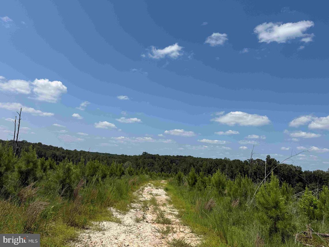 Bremo Road Bremo Bluff, VA 23022 - Photo 7 of 10 a view of lake and mountain
