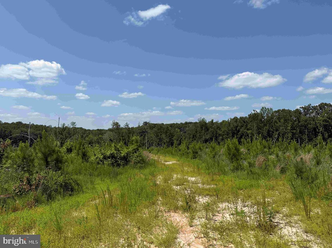 Bremo Road Bremo Bluff, VA 23022 - Photo 8 of 10 a view of lake