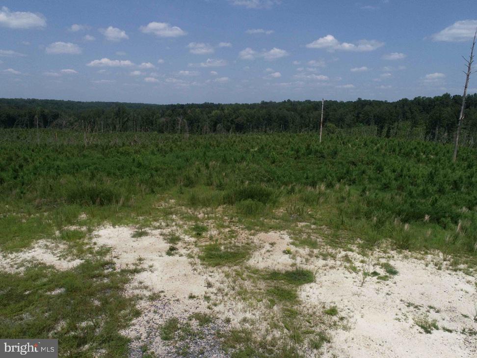 Bremo Road Bremo Bluff, VA 23022 - Photo 10 of 10 a view of a lake with a mountain in the background