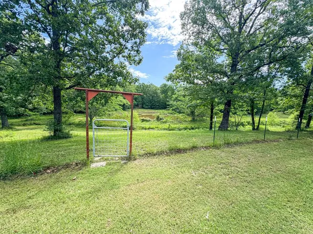 a view of a park with a tree