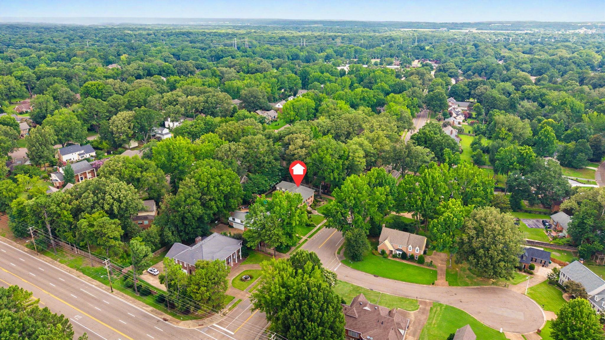1929 Miller Farms Road Germantown, TN 38138 - Photo 40 of 40 Lush green canopy surrounds residential properties