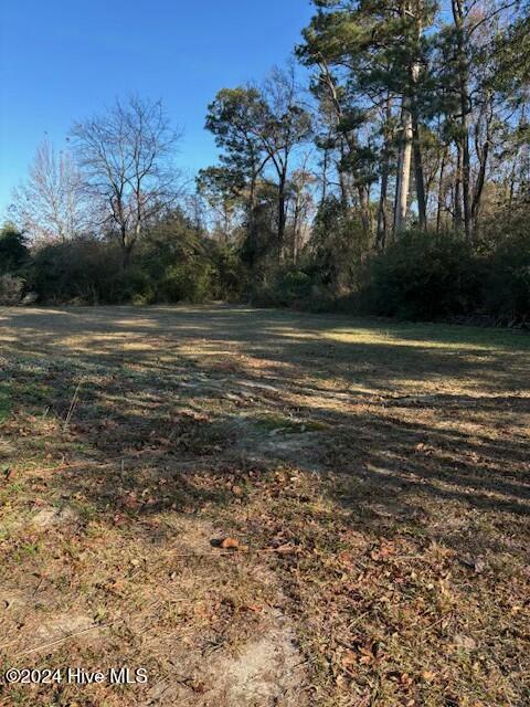 249 Ottis Miller Road Beulaville, NC 28518 - Photo 8 of 18 tempImagehI69xp