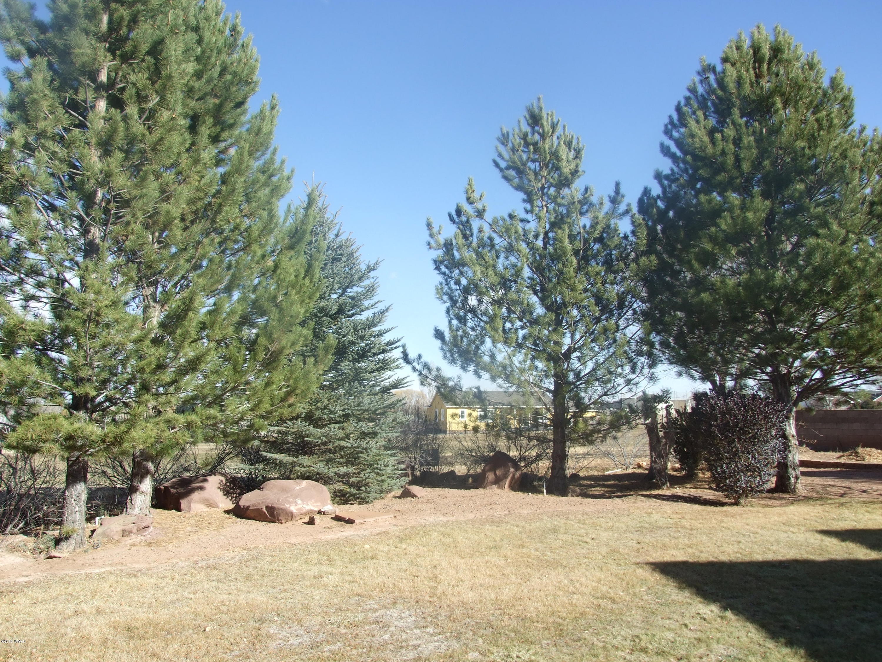 2414 Ridge Road Snowflake, AZ 85937 - Photo 18 of 60