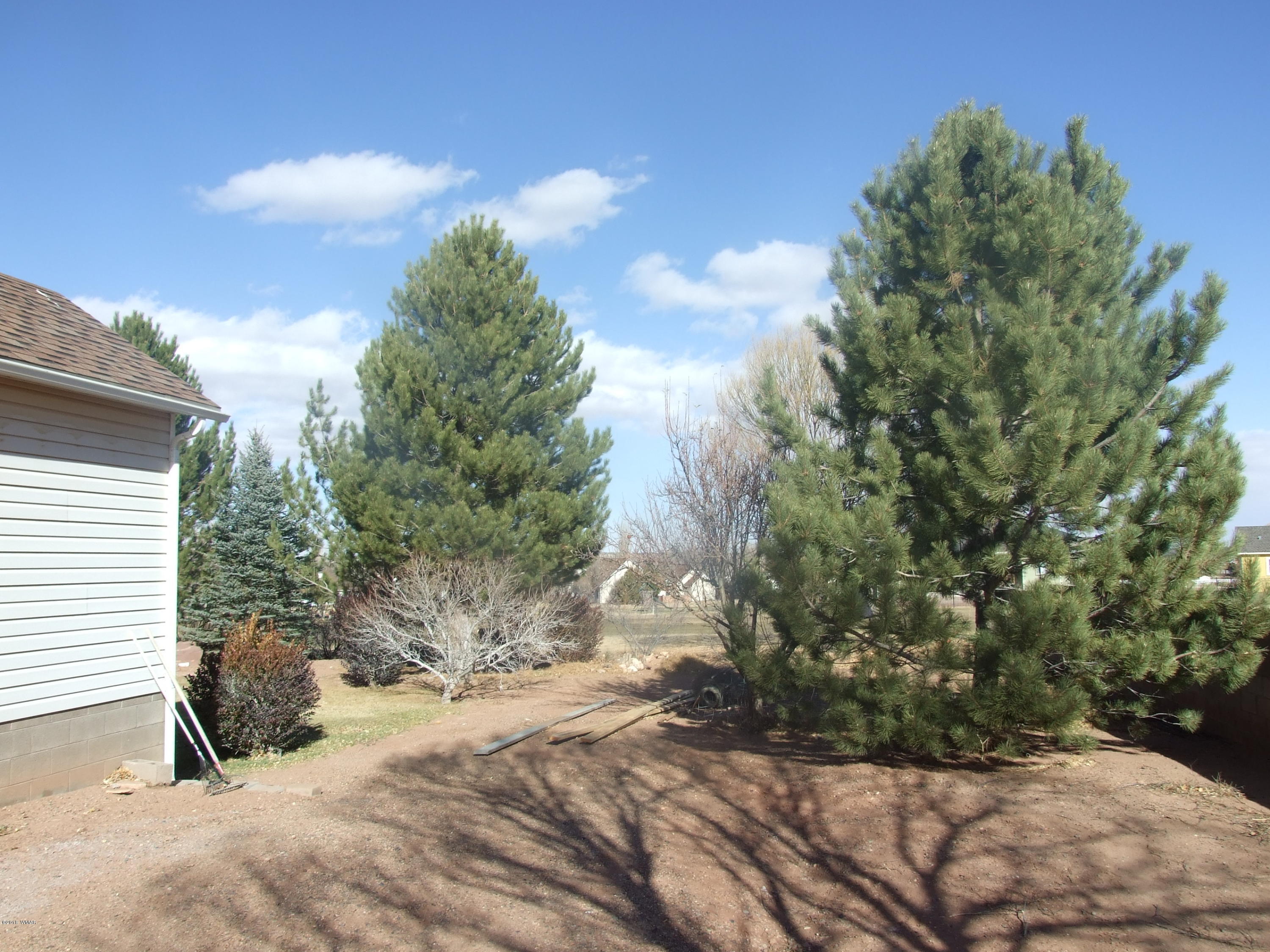 2414 Ridge Road Snowflake, AZ 85937 - Photo 6 of 60