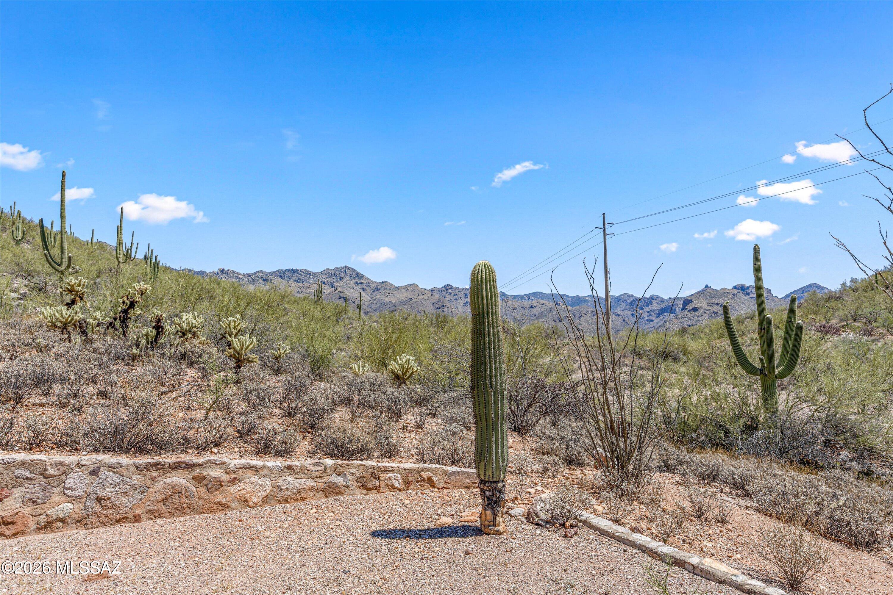 7281 East Rocky Ridge Drive Tucson, AZ 85750 - Photo 44 of 51