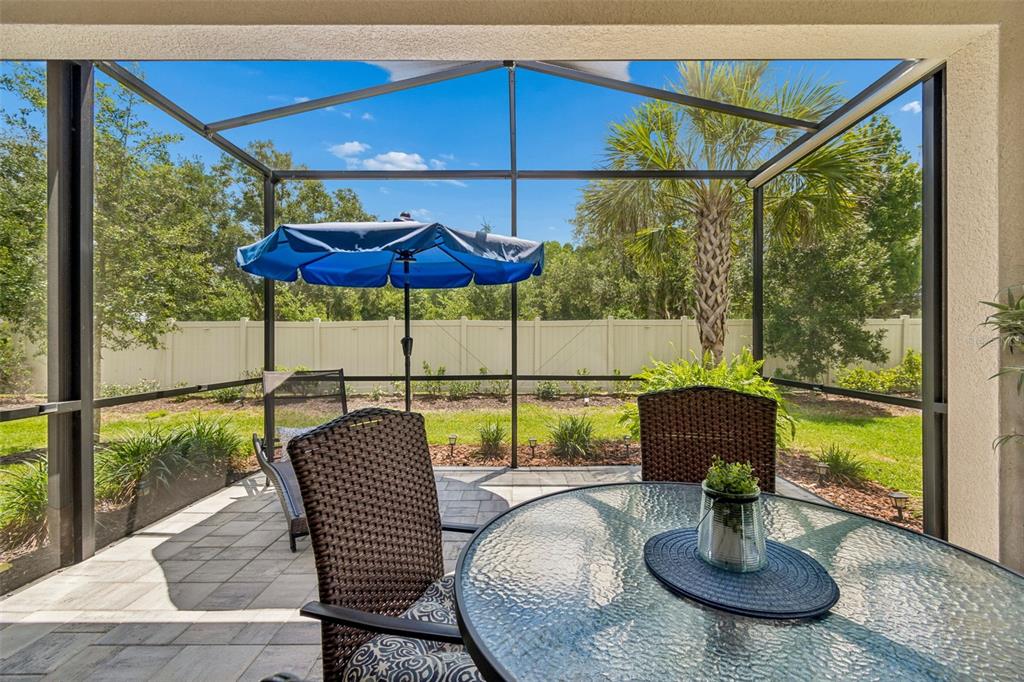 4534 Garofalo Road Wesley Chapel, FL 33543 - Photo 64 of 100 Gallery Image 64