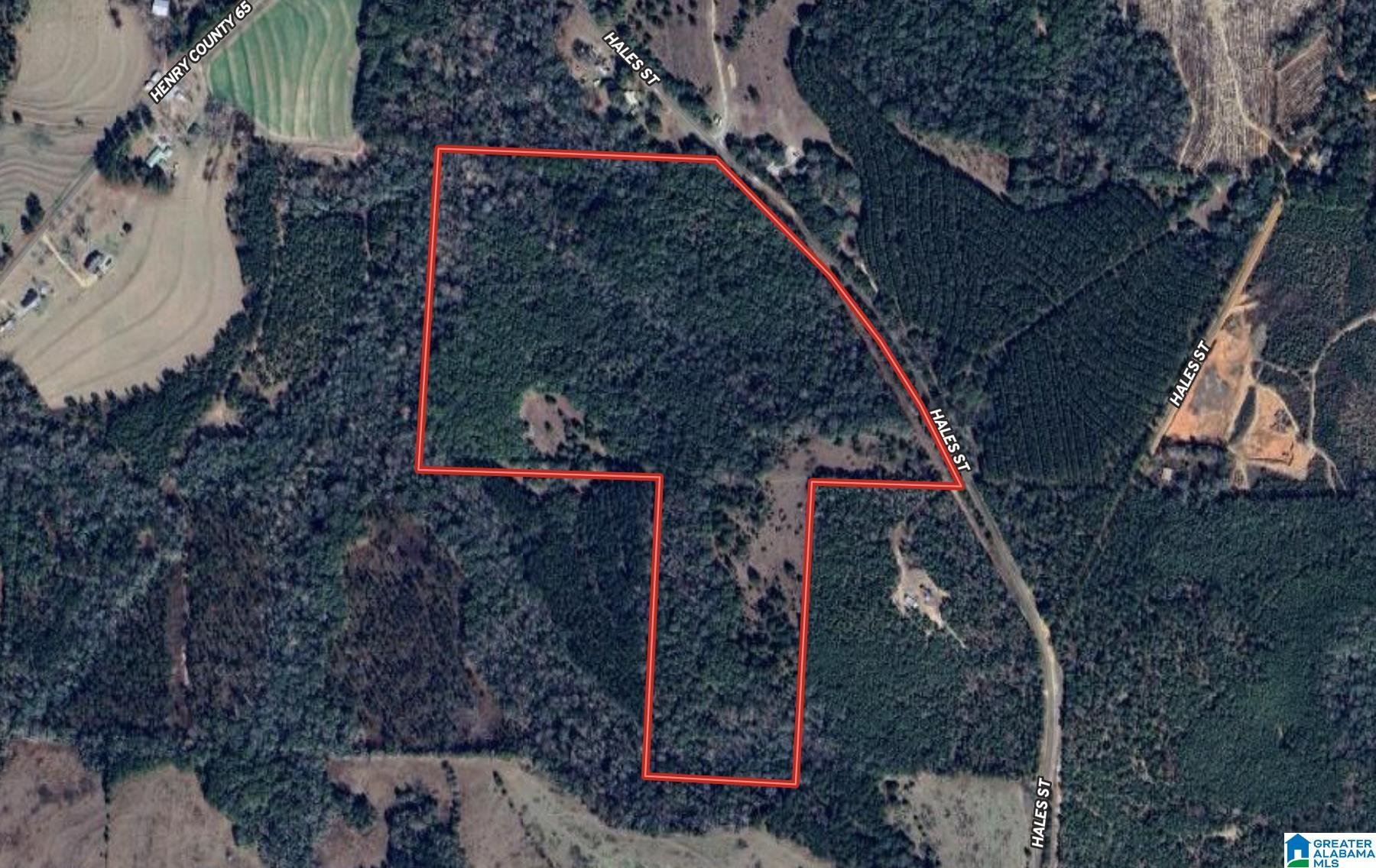 0 County Road 65 Abbeville, AL 36310 - Photo 22 of 24