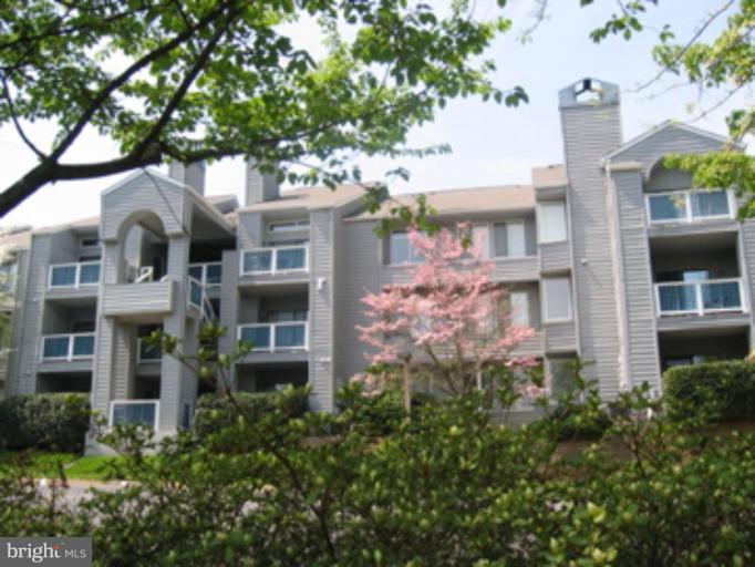 11703 Summerchase Circle, Unit E Reston, VA 20194 - Photo 1 of 6 front view of a house with a tree