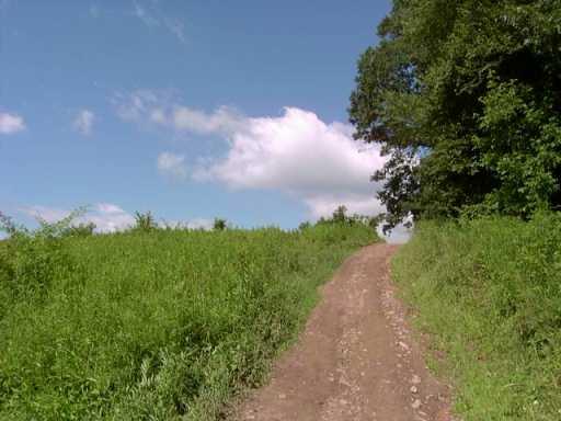 Lot R Ash Alley Parker, PA 16049 - Photo 2 of 4 Other.
