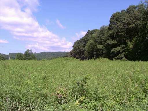 Lot R Ash Alley Parker, PA 16049 - Photo 3 of 4 Other.