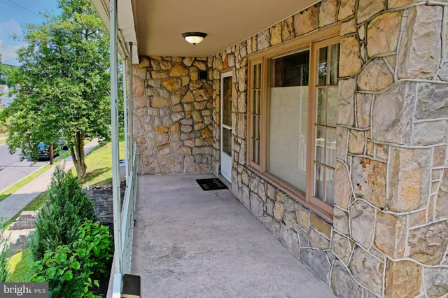 a view of a pathway along with potted plants