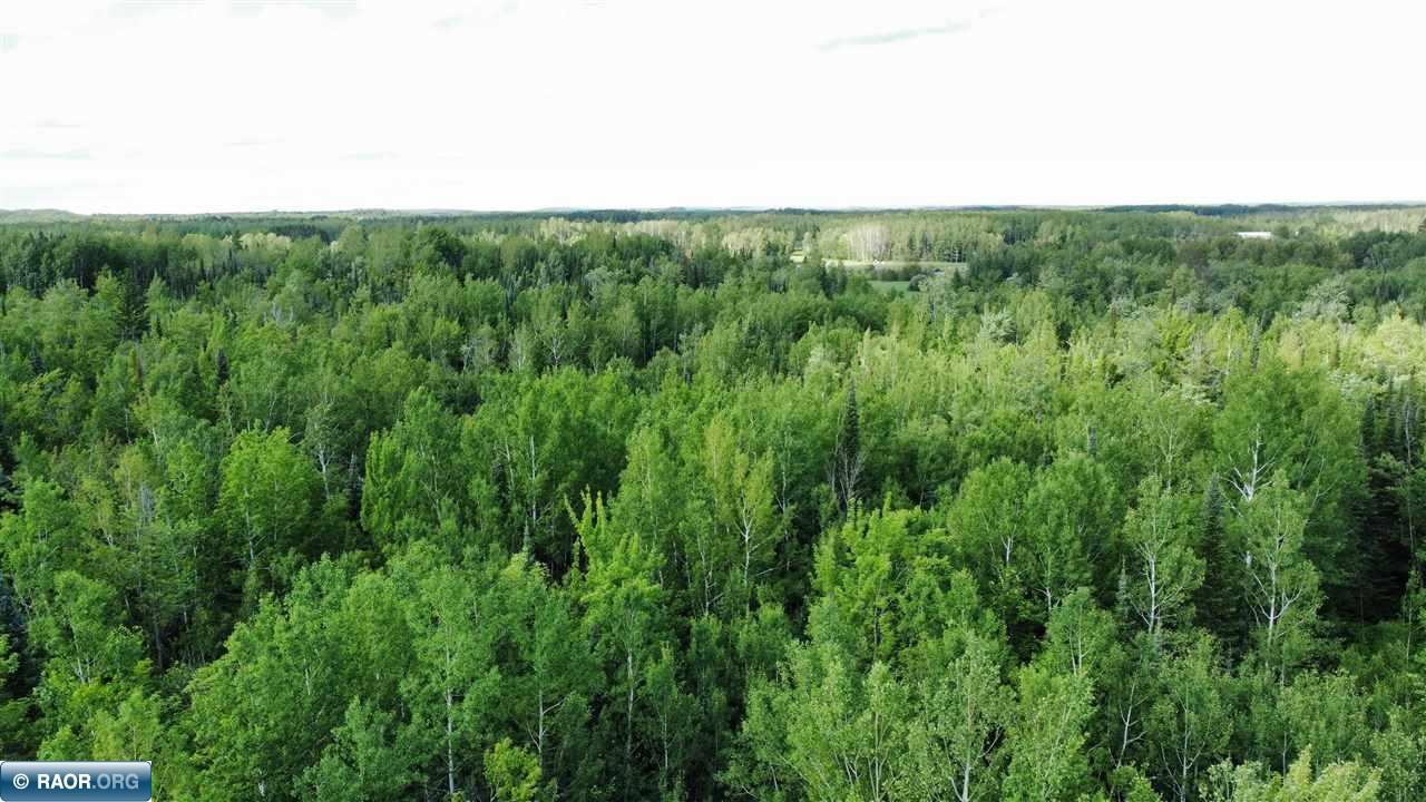 Tbd South Salmi Road Hibbing, MN 55746 - Photo 30 of 36 Gallery Image 30