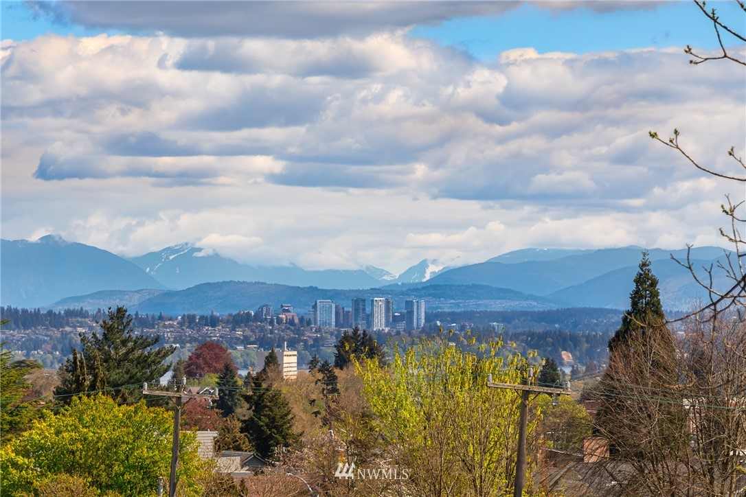 4620 Dayton Avenue North Seattle, WA 98103 - Photo 5 of 10 a view of a city