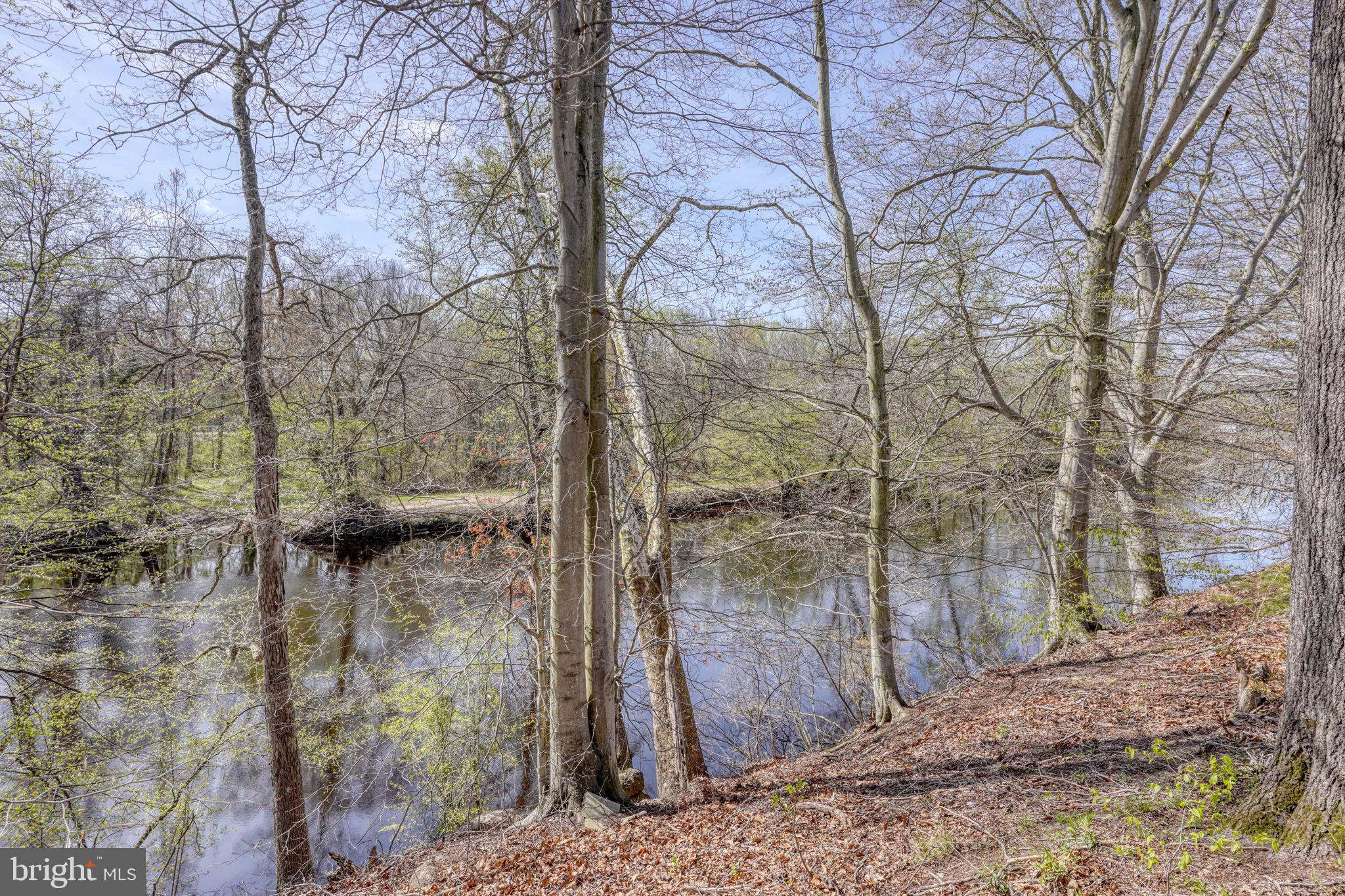 31729 West Edge Road Millington, MD 21651 - Photo 4 of 60 Perfect for kayaking or small boat