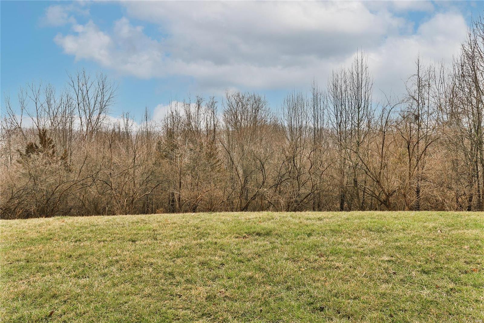1832 Ridgeview Cir Drive Manchester, MO 63021 - Photo 26 of 27 Gallery Image 26