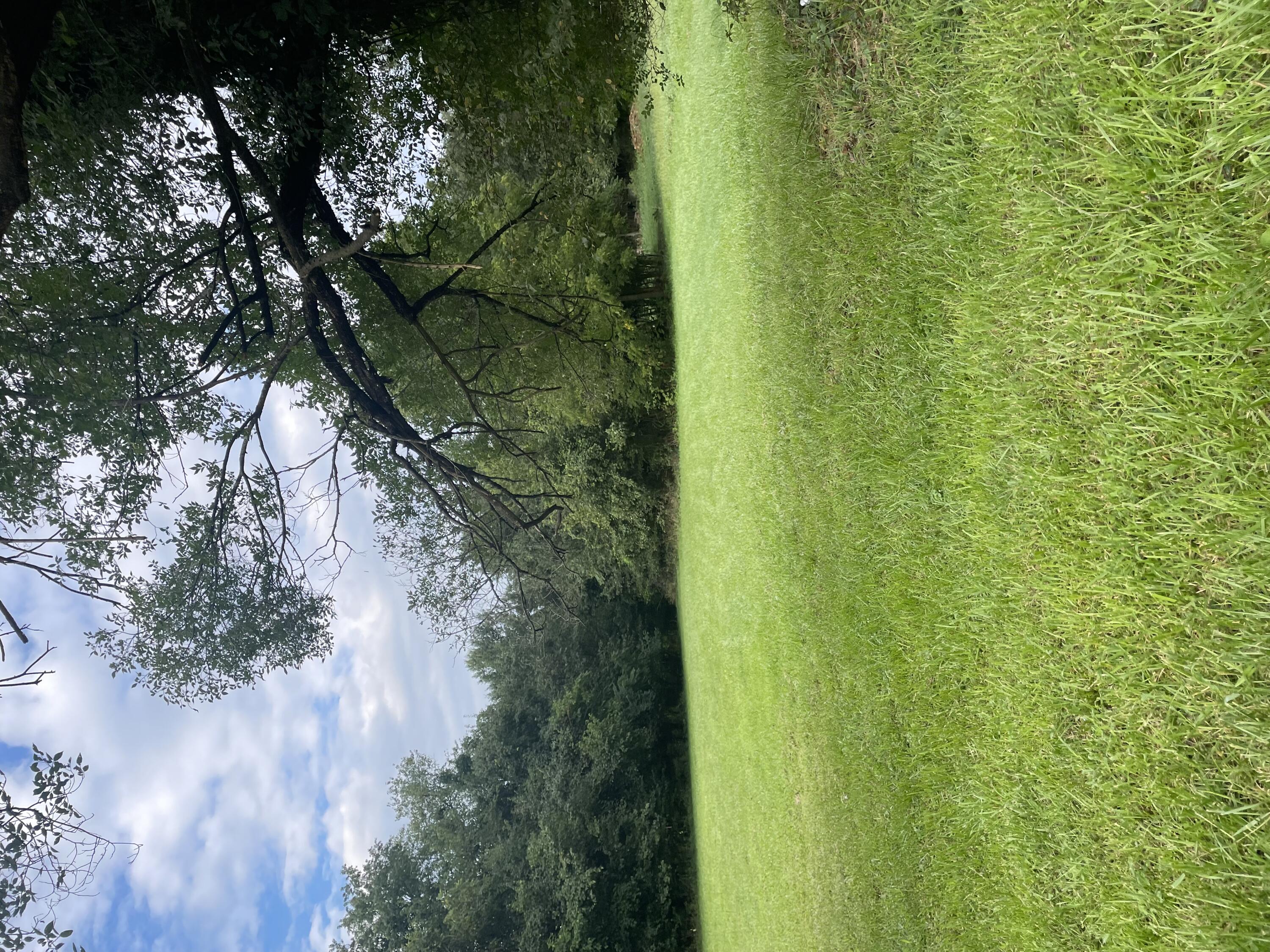 3434 Cove Road Roanoke, VA 24017 - Photo 2 of 4 Clear land