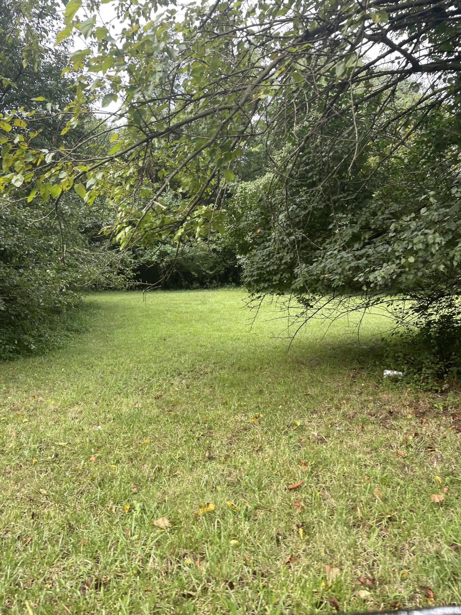 3434 Cove Road Roanoke, VA 24017 - Photo 3 of 4 Sideview of Land