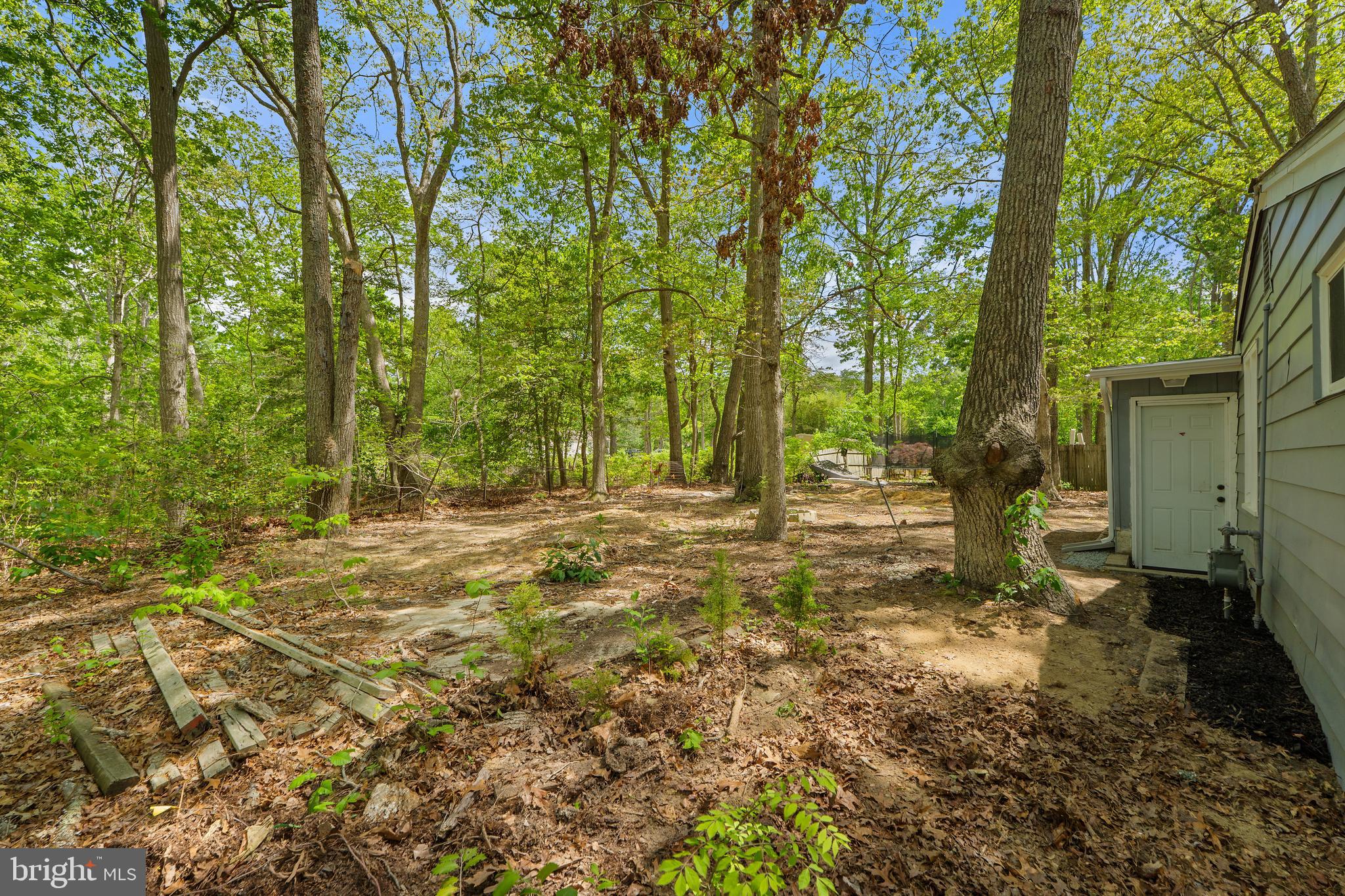 328 Jute Road Millville, NJ 08332 - Photo 28 of 28 a view of a yard with plants and trees