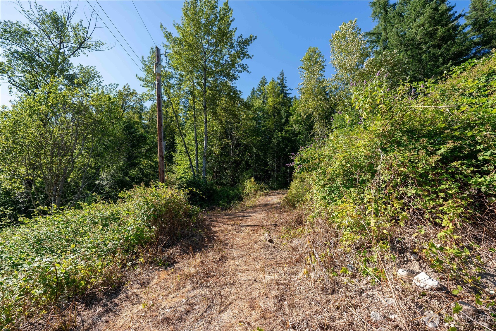 14405 Whiteman Road Gold Bar, WA 98251 - Photo 6 of 37