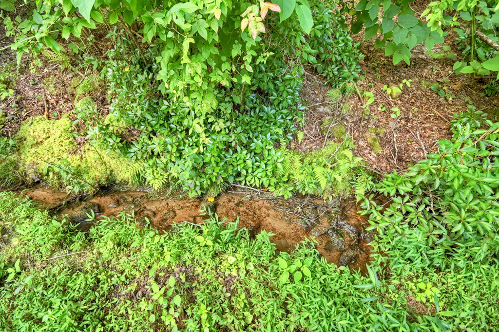1146 Galloway Road Blue Ridge, GA 30513 - Photo 26 of 33 a backyard of a house with lots of green space