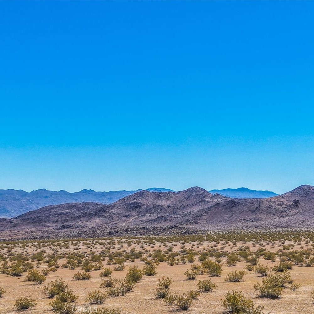54 Fascination Avenue Joshua Tree, CA 92252 - Photo 1 of 4 Gallery Image 1