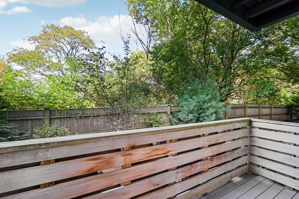 77 New Street, Unit 115 Cambridge, MA 02138 - Photo 4 of 11 a view of outdoor space and yard