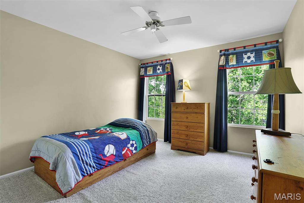 630 Cascade Lk Court Ballwin, MO 63021 - Photo 19 of 30