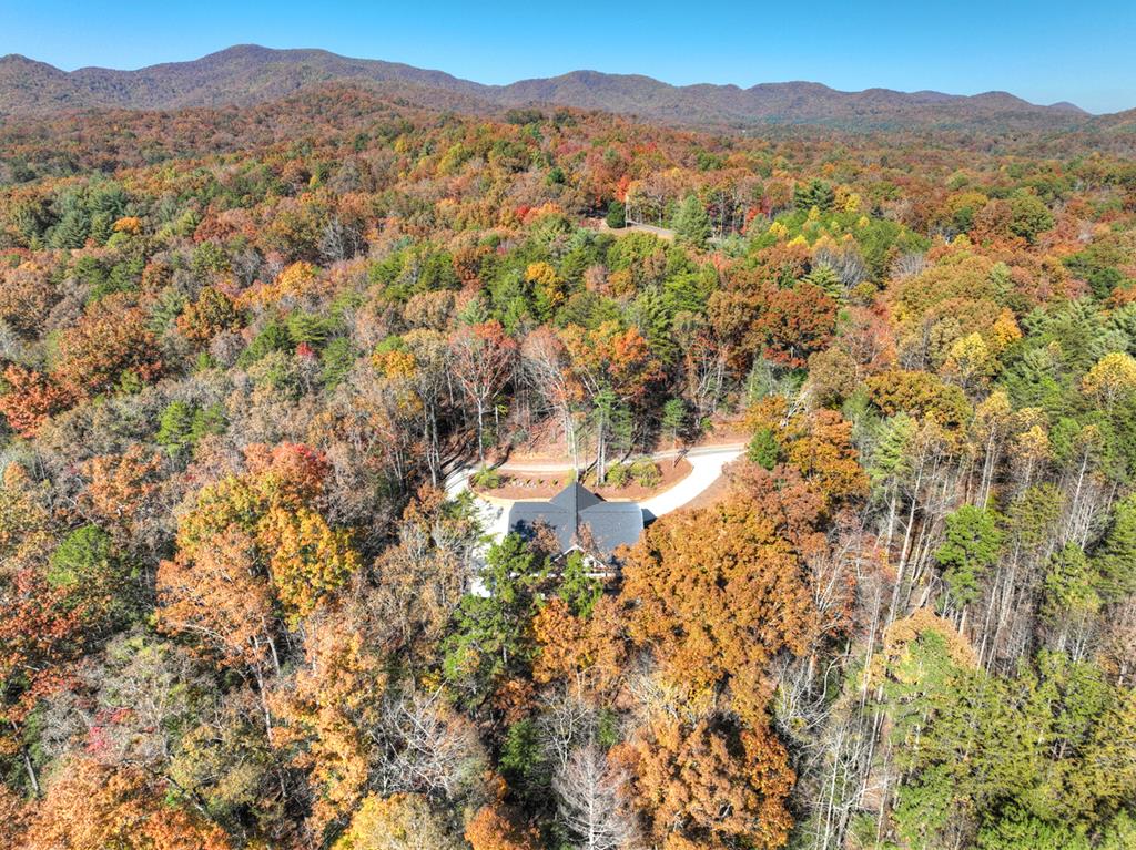 289 Scott Hollow Road Ellijay, GA 30540 - Photo 44 of 45 Gallery Image 44