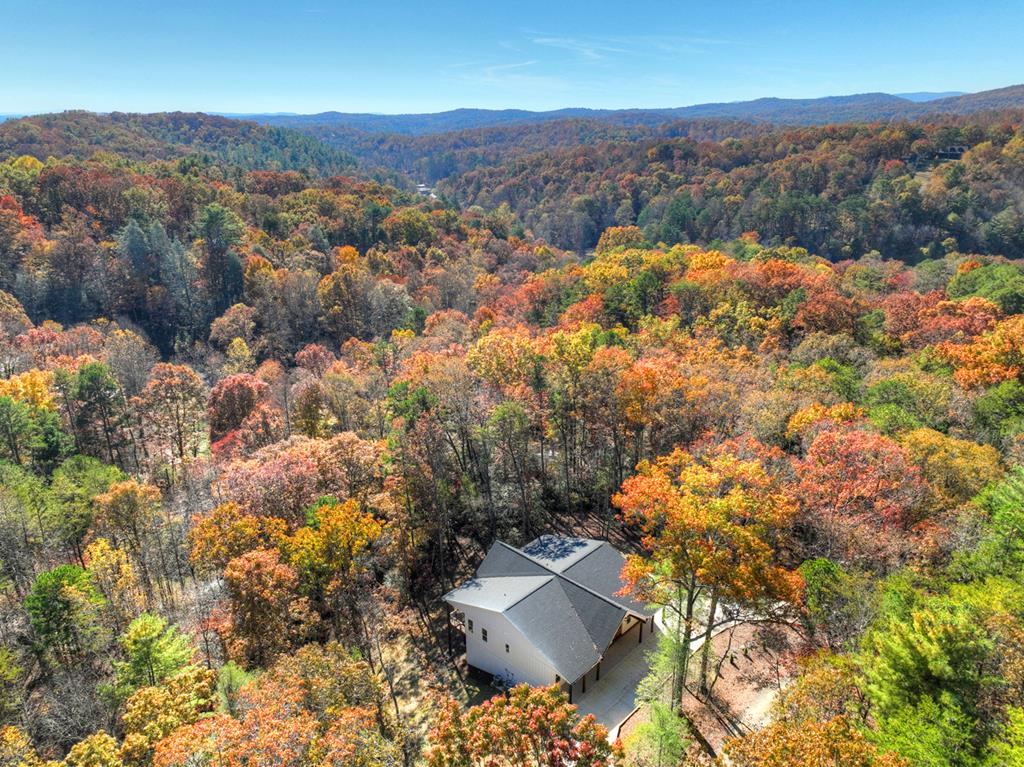 289 Scott Hollow Road Ellijay, GA 30540 - Photo 45 of 45 Gallery Image 45