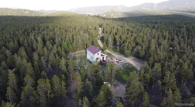 a view of a forest with a mountain and trees