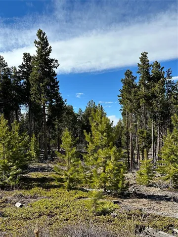 a view of lake with green space