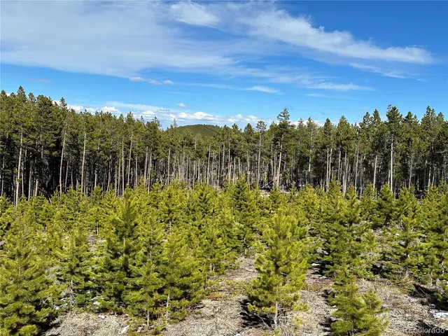 a view of a city and sunset