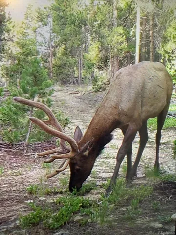 a view of a yard with table and chairs