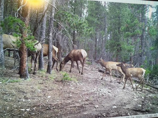 a view of a outdoor space