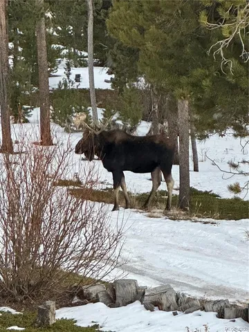 a view of outdoor space with seating