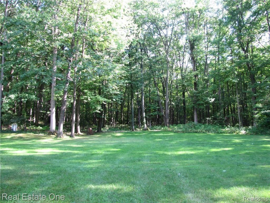 12301 Shaffer Road Davisburg, MI 48350 - Photo 22 of 22 IMG_3977.JPG