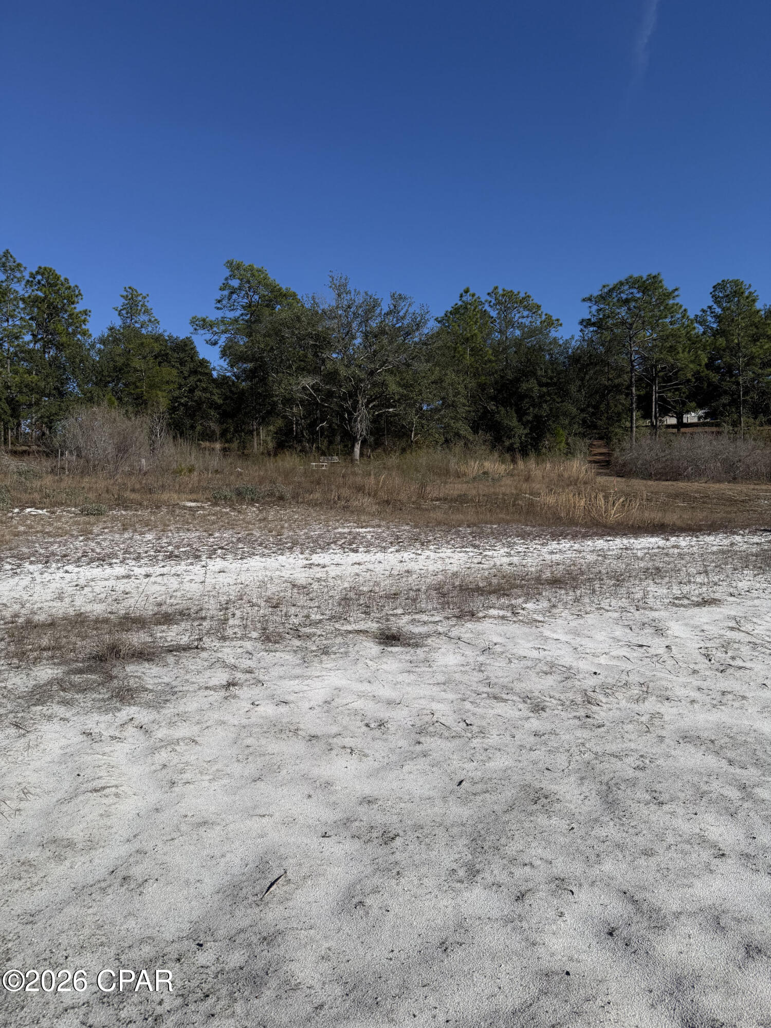 Lot 21 Grassy Pond Road Chipley, FL 32428 - Photo 14 of 15