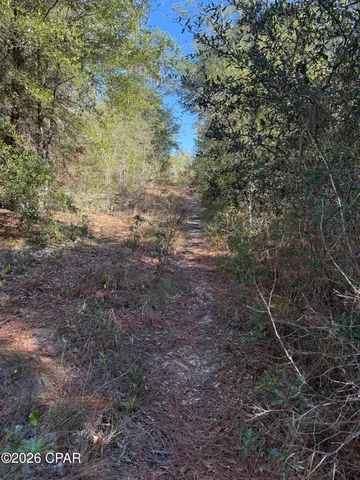 $85,000 | Lot 21 Grassy Pond Road, Chipley, FL 32428
